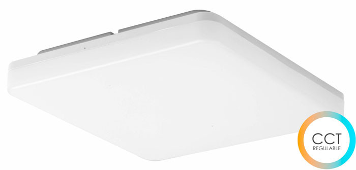 KORA 25W LED SWITCH de Beneito Faure